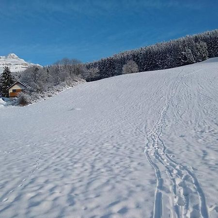 Appartement Dans Maison, A Proximite Du Village Villard-de-Lans Dış mekan fotoğraf